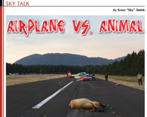 Aircraft vs Animals